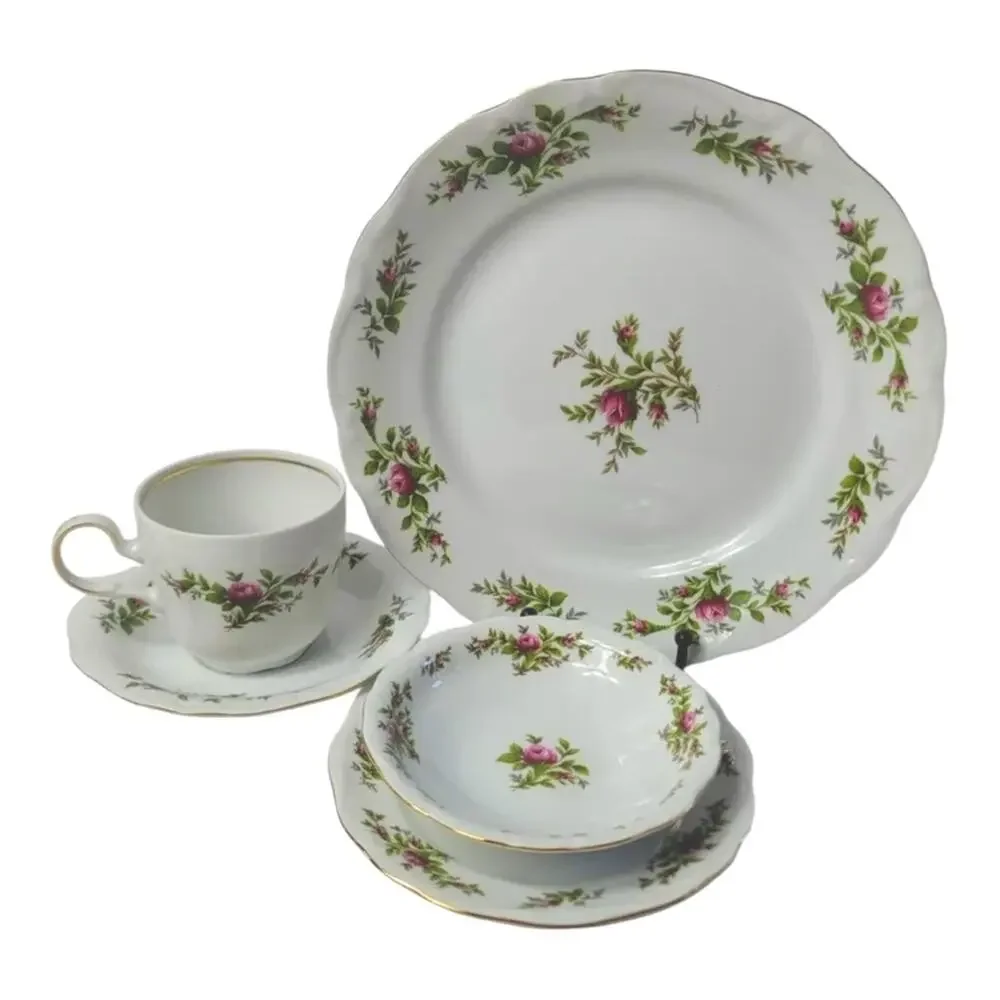 Vintage Johann Haviland Moss Rose 5 Piece Place Setting Traditions Fine China